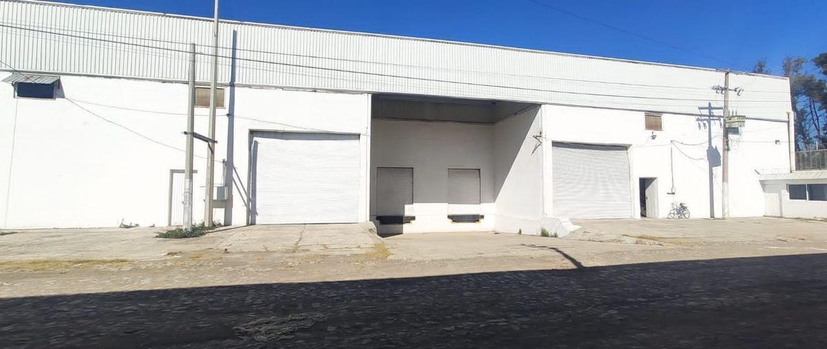 Foto de bodega en renta en flor de nardos , el zapote del valle, tlajomulco de zúñiga, jalisco, 25847814 No. 04