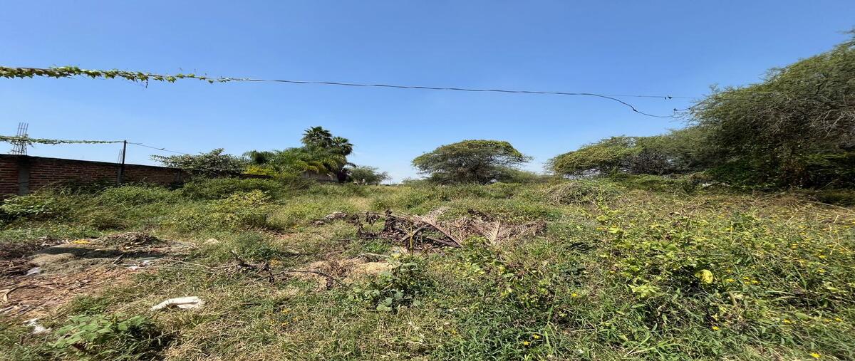 Foto de terreno habitacional en venta en flor de tulipane , el zapote del valle, tlajomulco de zúñiga, jalisco, 0 No. 03