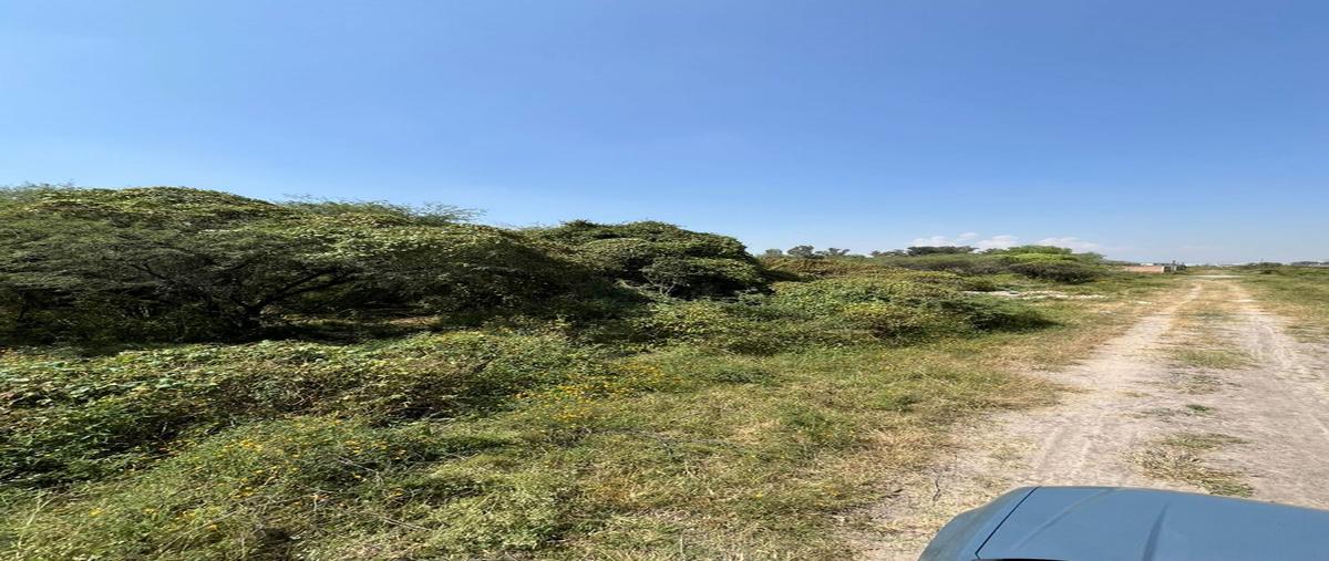 Foto de terreno habitacional en venta en flor de tulipane , el zapote del valle, tlajomulco de zúñiga, jalisco, 0 No. 05