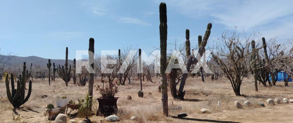 Foto de rancho en venta en flor del desierto , pescadero, la paz, baja california sur, 0 No. 05
