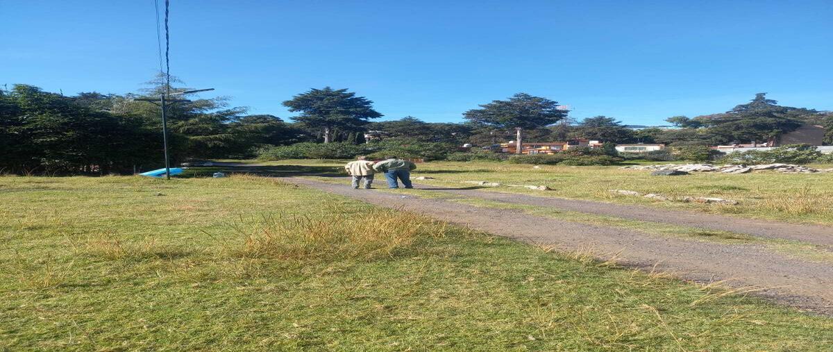 Foto de terreno habitacional en venta en flor silvestre , san pedro mártir, tlalpan, df / cdmx, 28947182 No. 05