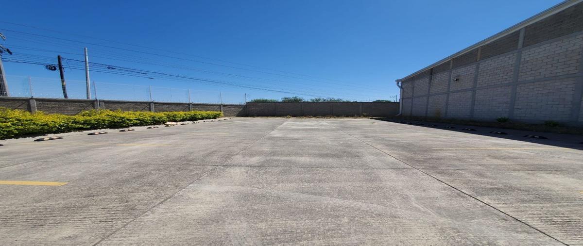 Foto de bodega en renta en  , flores, tala, jalisco, 28114569 No. 05