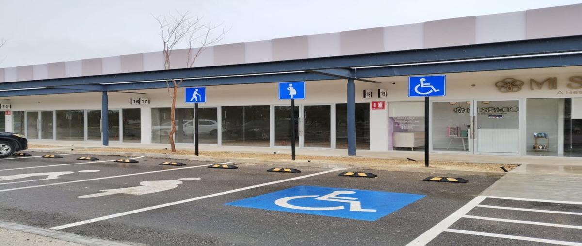 Foto de local en renta en  , floresta, mérida, yucatán, 27556017 No. 05