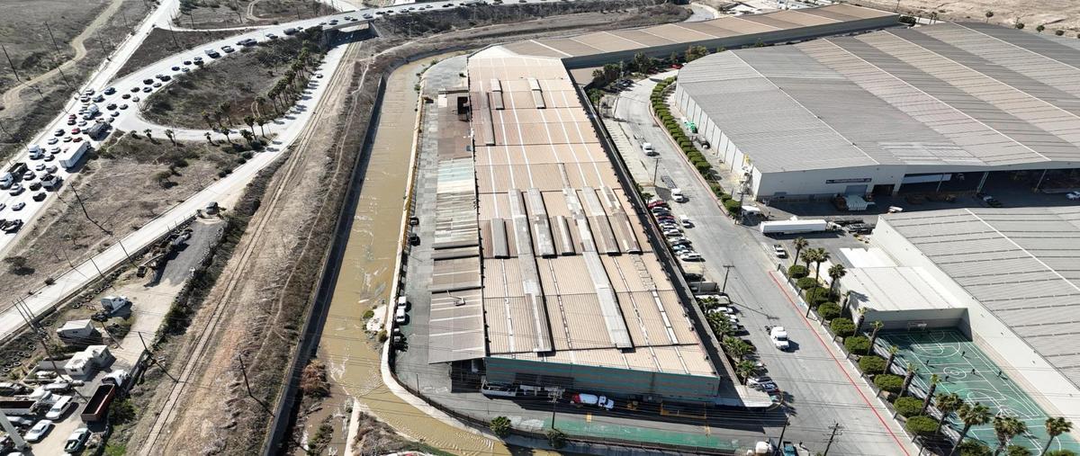 Foto de bodega en renta en  , florido viejo, tijuana, baja california, 29363107 No. 03