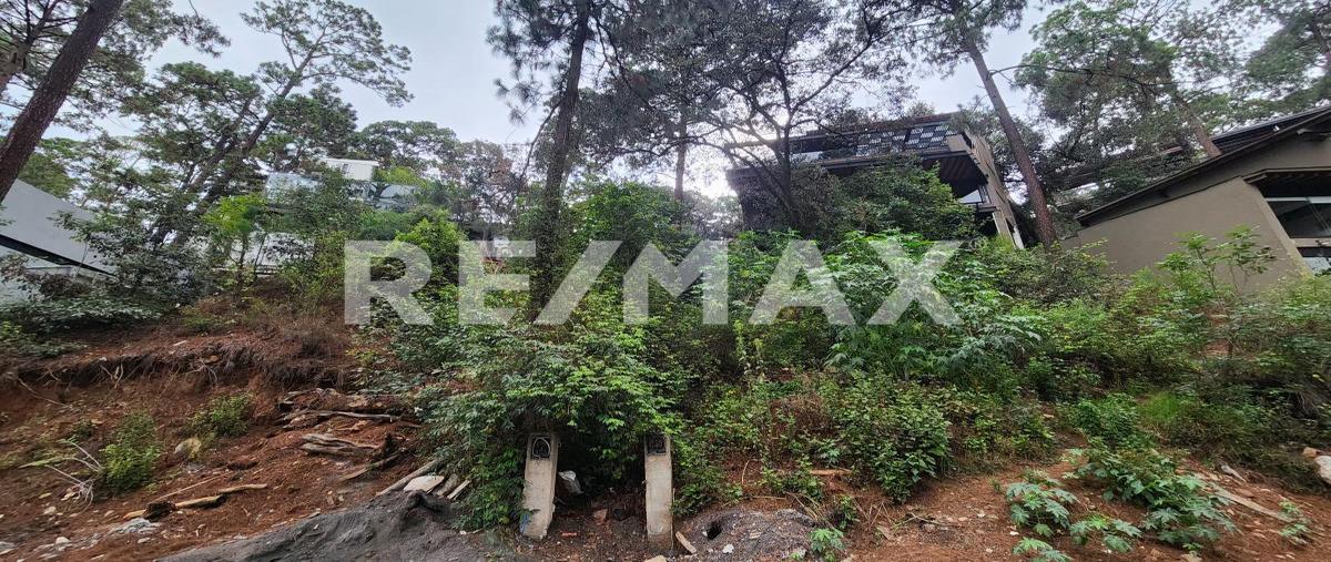 Foto de terreno habitacional en fontana alta , avándaro, valle de bravo, méxico, 0 foto 05 Foto de terreno habitacional en venta en fontana alta , avándaro, valle de bravo, méxico, 0 No. 05