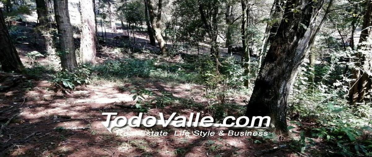 Foto de terreno habitacional en venta en fontana baja , avándaro, valle de bravo, méxico, 0 No. 04