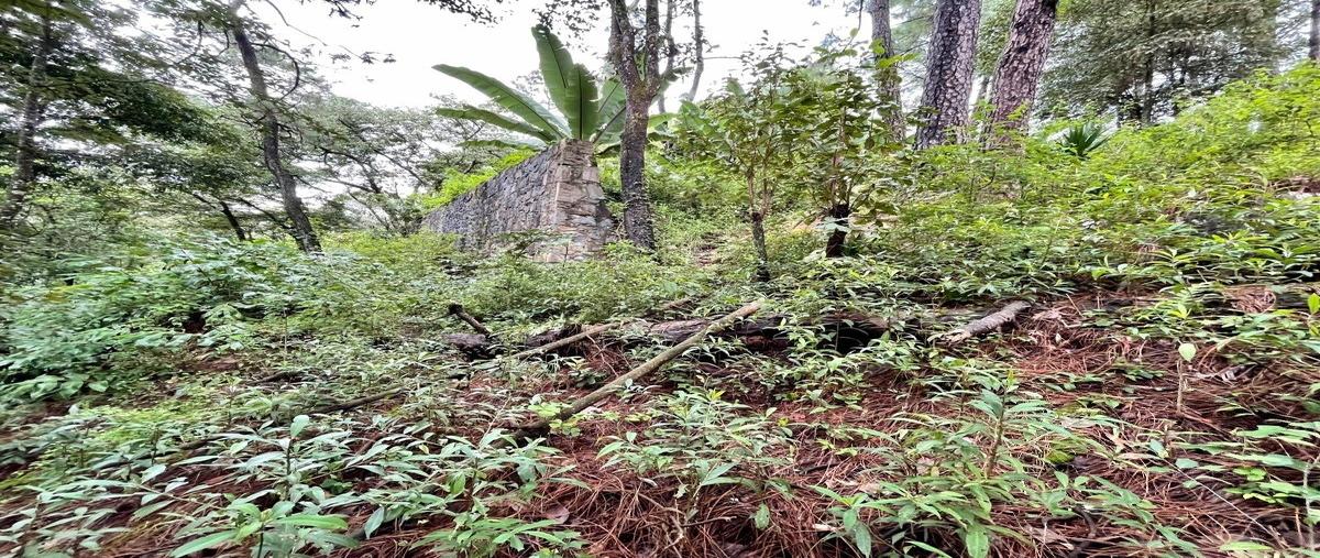 Foto de terreno habitacional en venta en fontana pura , avándaro, valle de bravo, méxico, 22603260 No. 05