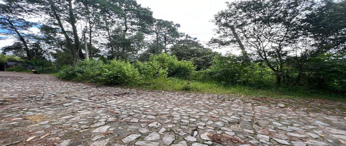 Foto de terreno industrial en venta en fontana pura , avándaro, valle de bravo, méxico, 29699436 No. 05