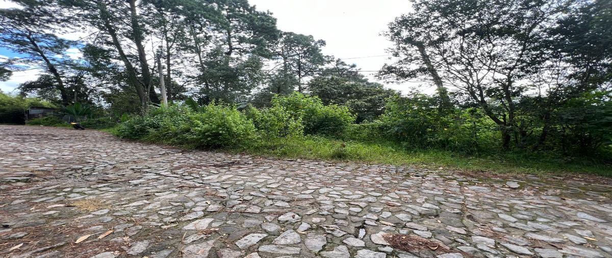 Foto de terreno industrial en venta en fontana pura , avándaro, valle de bravo, méxico, 29699436 No. 06
