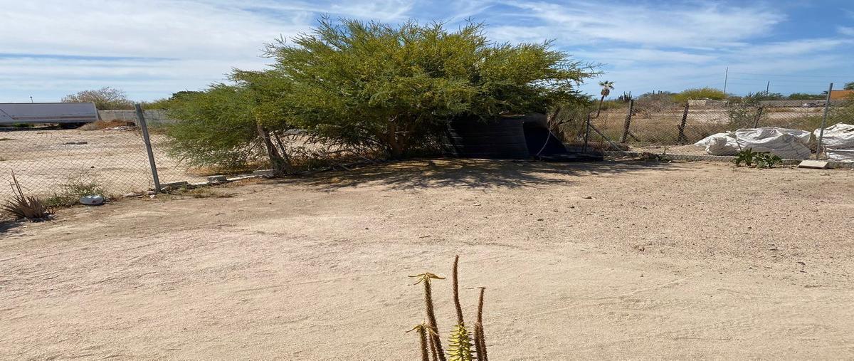 Foto de terreno habitacional en forjadores , los tabachines, la paz, baja california sur, 29783961 foto 03 Foto de terreno habitacional en venta en forjadores , los tabachines, la paz, baja california sur, 29783961 No. 03