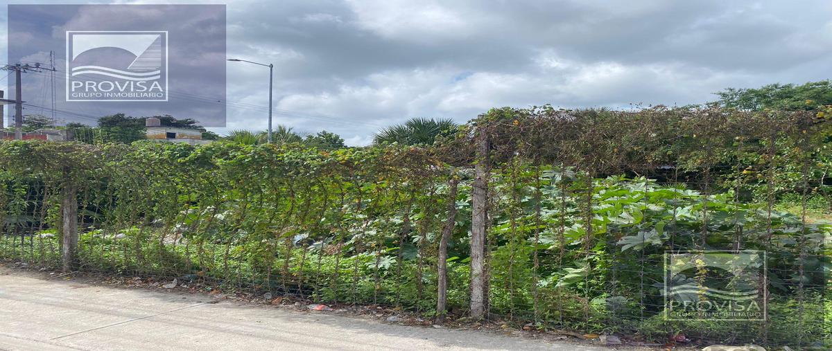 Foto de terreno habitacional en , forjadores, solidaridad, quintana roo, 30546174 foto 01 Foto de terreno habitacional en renta en , forjadores, solidaridad, quintana roo, 30546174 No. 01
