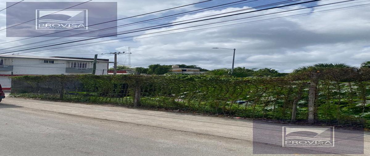 Foto de terreno habitacional en , forjadores, solidaridad, quintana roo, 30546174 foto 03 Foto de terreno habitacional en renta en , forjadores, solidaridad, quintana roo, 30546174 No. 03