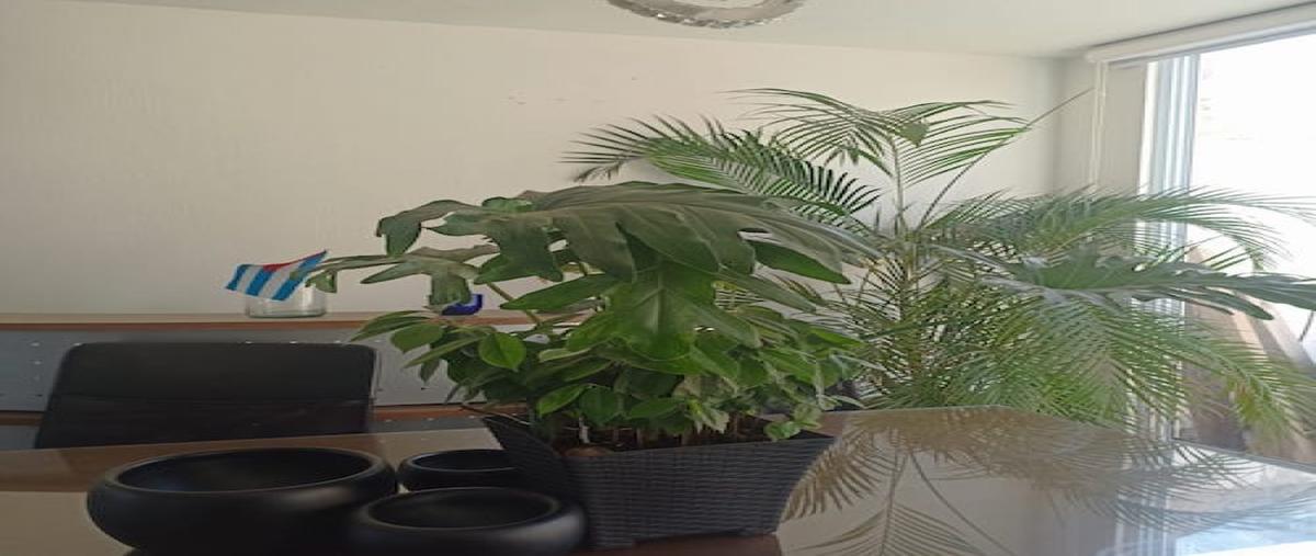 Foto de casa en venta en formosa , valle imperial, zapopan, jalisco, 31497616 No. 05