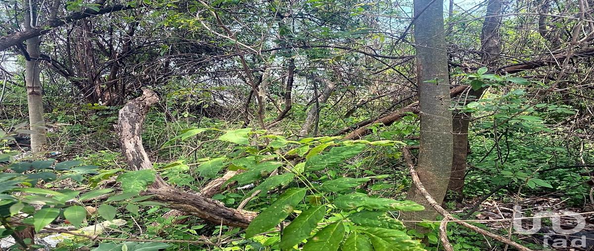 Foto de terreno habitacional en venta en frac. villa y la montaña , santa maría ahuacatitlán, cuernavaca, morelos, 31588739 No. 03