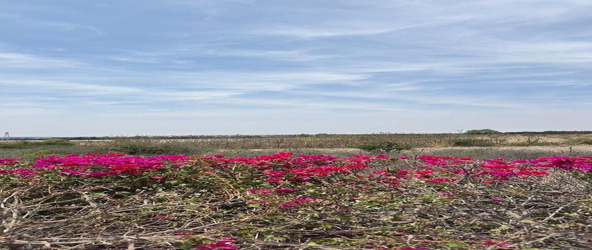 Foto de terreno habitacional en venta en fracción a1 a a5 , ciudad maderas, lagos de moreno, jalisco, 0 No. 04