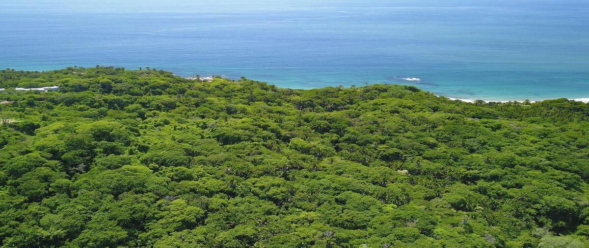 Foto de terreno habitacional en venta en fraccion aparcela , sayulita, bahía de banderas, nayarit, 0 No. 01