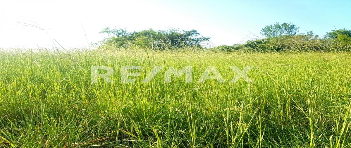 Foto de rancho en venta en fracción calle , panuco centro, pánuco, veracruz de ignacio de la llave, 0 No. 03