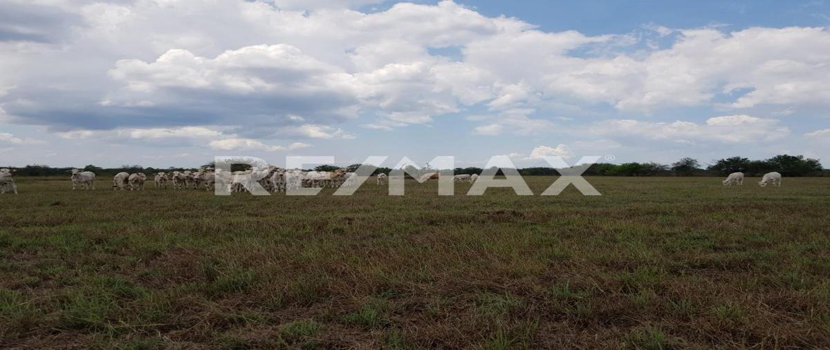Foto de rancho en venta en fracción calle , panuco centro, pánuco, veracruz de ignacio de la llave, 0 No. 04