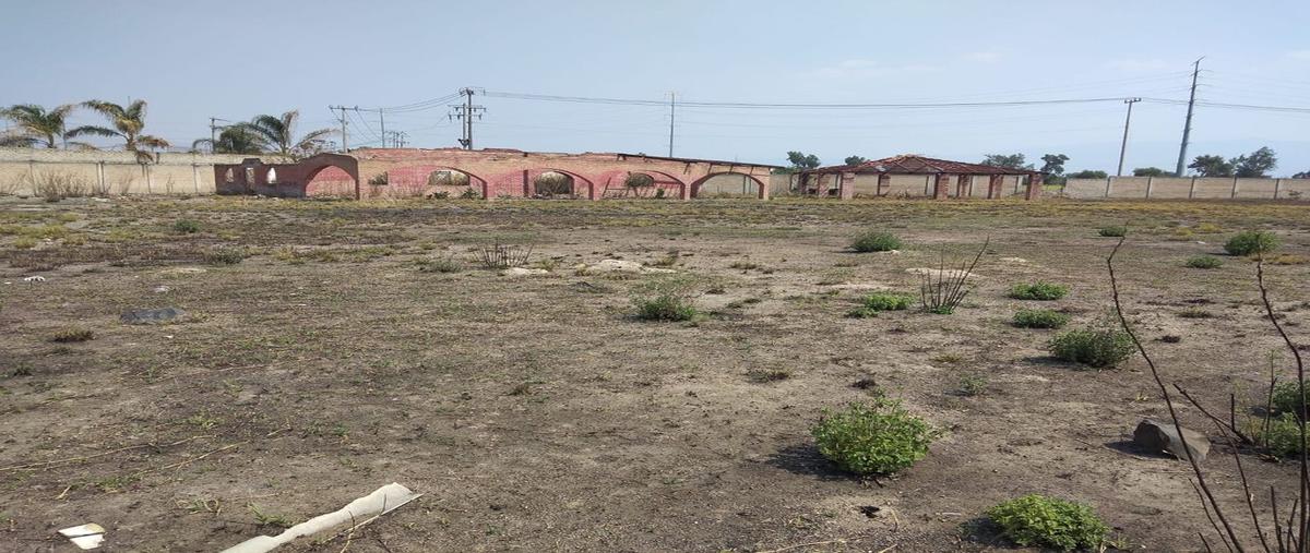 Foto de terreno comercial en fracción de la parcela 22 p1/3 , concepción del valle, tlajomulco de zúñiga, jalisco, 0 foto 03 Foto de terreno comercial en venta en fracción de la parcela 22 p1/3 , concepción del valle, tlajomulco de zúñiga, jalisco, 0 No. 03