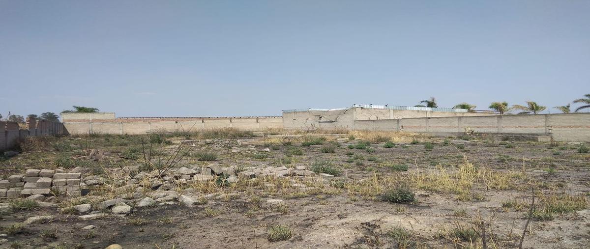 Foto de terreno comercial en fracción de la parcela 22 p1/3 , concepción del valle, tlajomulco de zúñiga, jalisco, 0 foto 04 Foto de terreno comercial en venta en fracción de la parcela 22 p1/3 , concepción del valle, tlajomulco de zúñiga, jalisco, 0 No. 04