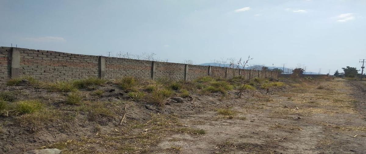 Foto de terreno comercial en fracción de la parcela 22 p1/3 , concepción del valle, tlajomulco de zúñiga, jalisco, 0 foto 05 Foto de terreno comercial en venta en fracción de la parcela 22 p1/3 , concepción del valle, tlajomulco de zúñiga, jalisco, 0 No. 05