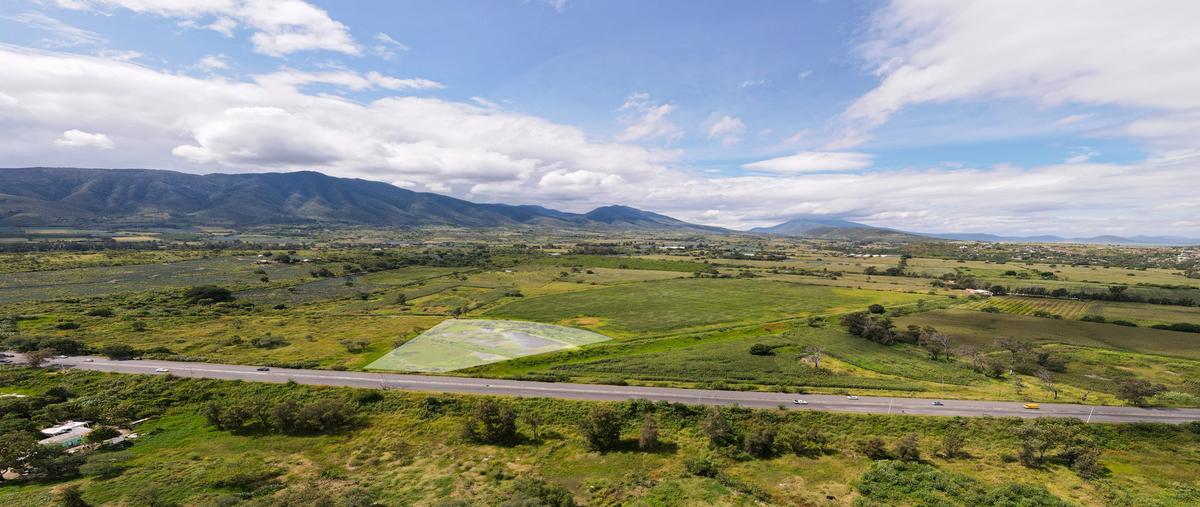 Foto de terreno comercial en venta en fracción del potrero denominado galapagopresa de la cruz , ixtlahuacan de los membrillos, ixtlahuacán de los membrillos, jalisco, 0 No. 03