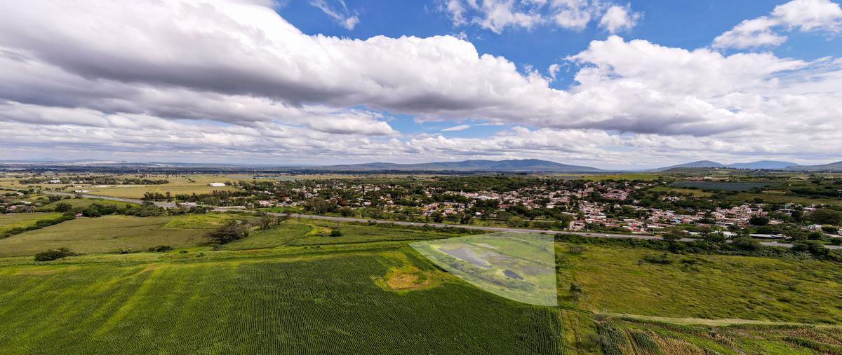 Foto de terreno comercial en venta en fracción del potrero denominado galapagopresa de la cruz , ixtlahuacan de los membrillos, ixtlahuacán de los membrillos, jalisco, 0 No. 04