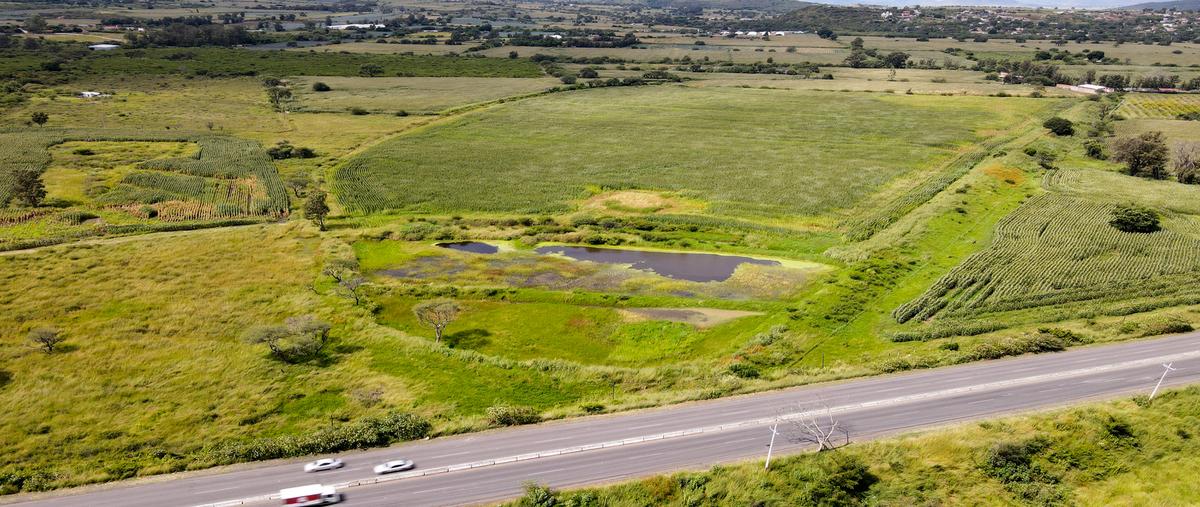 Foto de terreno habitacional en venta en fracción del potrero denominado galapagopresa de la cruz , ixtlahuacan de los membrillos, ixtlahuacán de los membrillos, jalisco, 30481552 No. 05