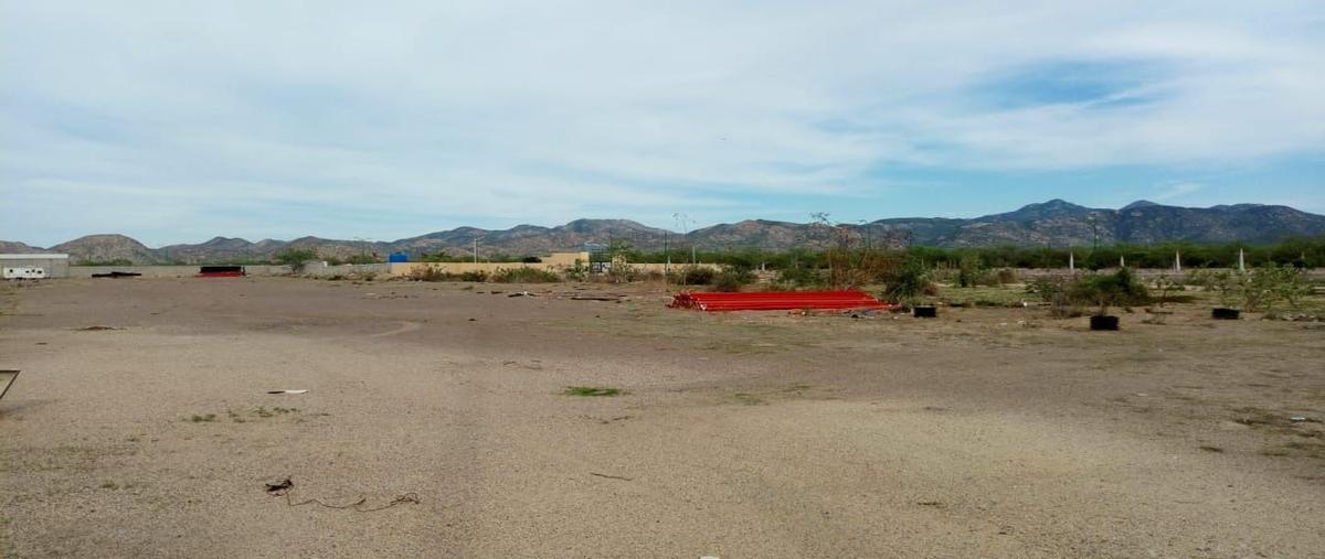 Foto de terreno habitacional en venta en fracción del predio las tablitas , valle de las vinoramas, la paz, baja california sur, 18431913 No. 03