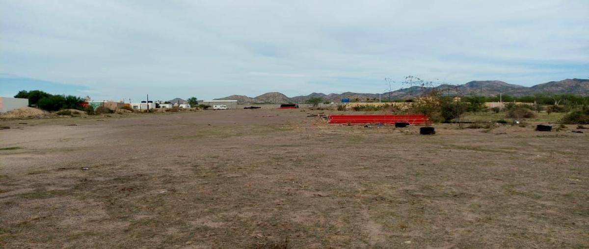 Foto de terreno habitacional en venta en fracción del predio las tablitas , valle de las vinoramas, la paz, baja california sur, 18431913 No. 04