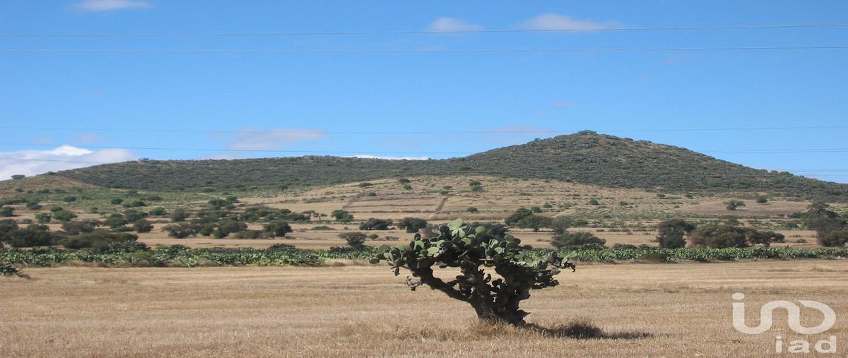 Foto de terreno comercial en fracción del predio rústico denominado exhacienda de san antonio xala , xala, axapusco, méxico, 0 foto 03 Foto de terreno comercial en venta en fracción del predio rústico denominado exhacienda de san antonio xala , xala, axapusco, méxico, 0 No. 03