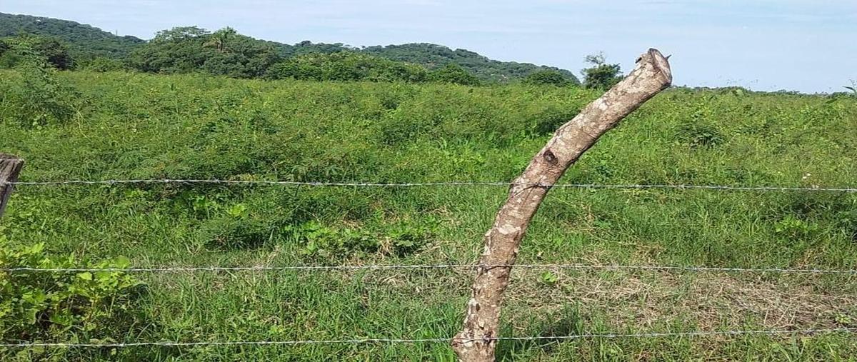Foto de terreno habitacional en venta en fraccion i parcela 1166 z3p3/3, monteón, compostela, nayarit, 0 No. 03