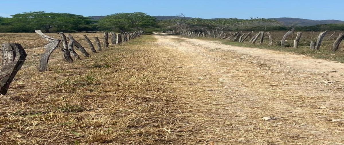 Foto de terreno habitacional en venta en fraccion i parcela 1166 z3p3/3, monteón, compostela, nayarit, 0 No. 04