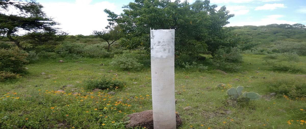 Foto de terreno habitacional en venta en fraccion tercera de la ex hacienda de tlacote el alto sncol el pie , tlacote el bajo, querétaro, querétaro, 0 No. 03