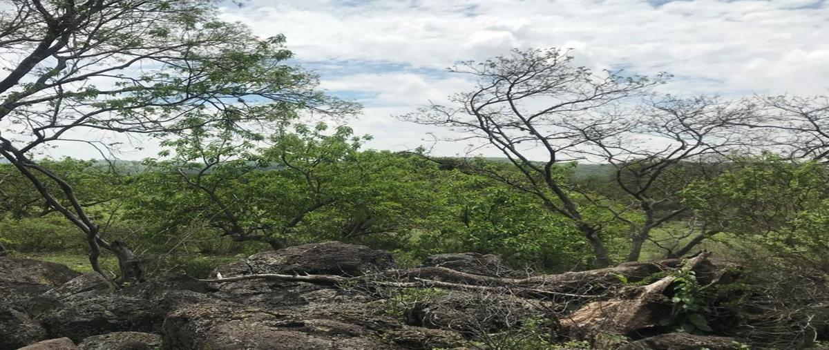 Foto de terreno habitacional en venta en fraccion tercera de la ex hacienda de tlacote el alto sncol el pie , tlacote el bajo, querétaro, querétaro, 0 No. 04