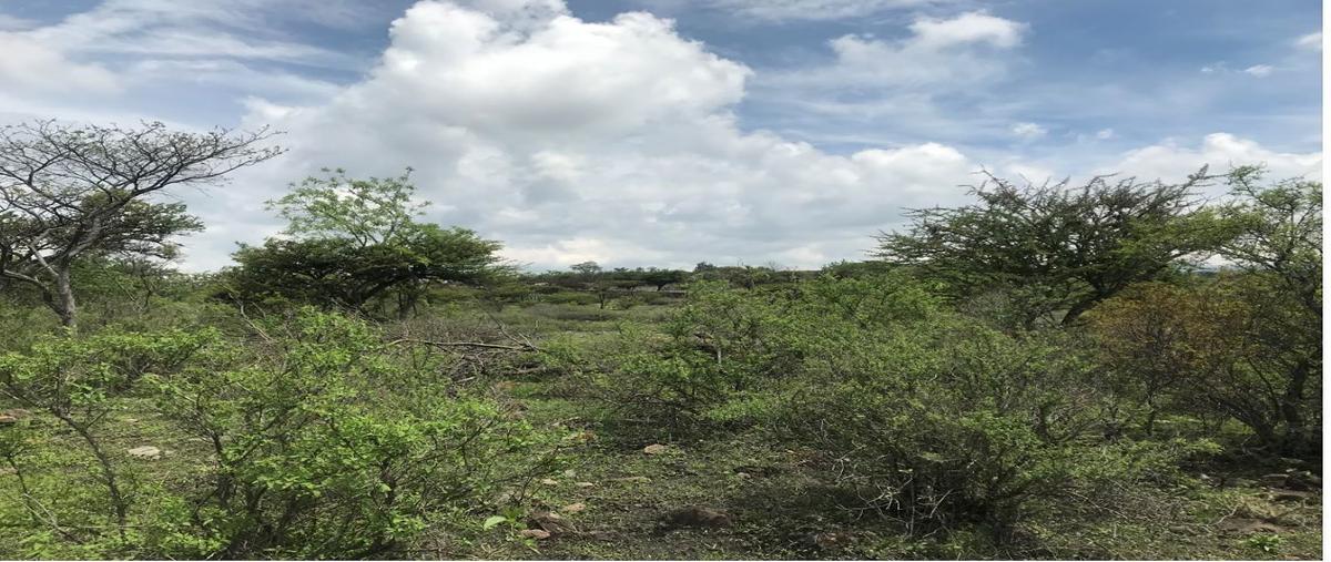Foto de terreno habitacional en venta en fraccion tercera de la ex hacienda de tlacote el alto sncol el pie , tlacote el bajo, querétaro, querétaro, 0 No. 05