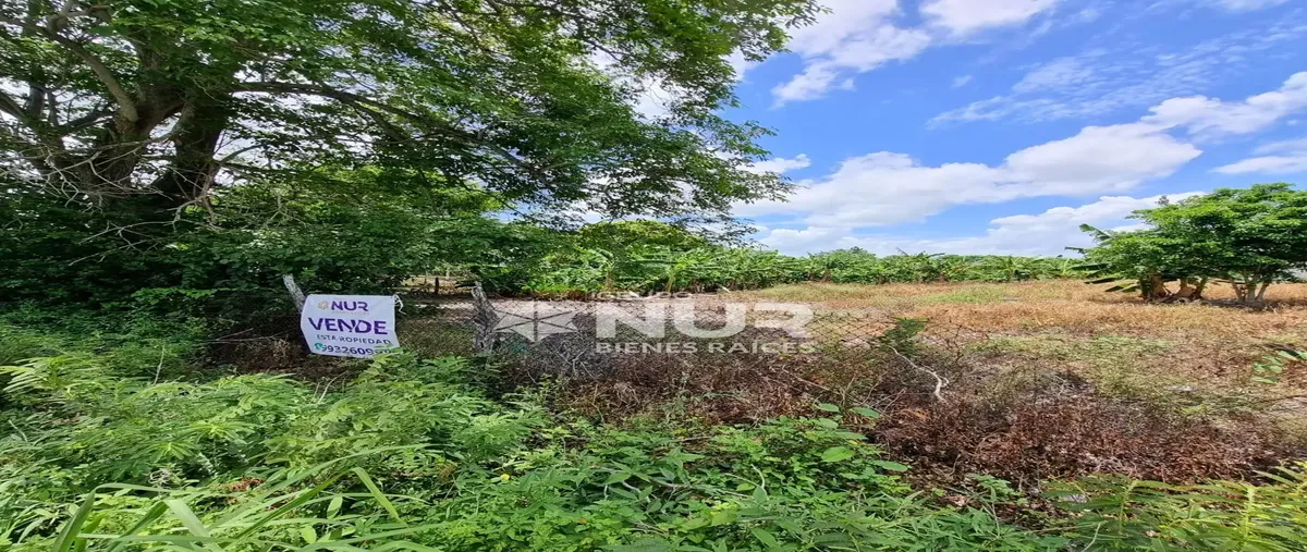 Foto de terreno habitacional en venta en fracciona 2 , barranca y amate 2a sección, centro, tabasco, 30159245 No. 03