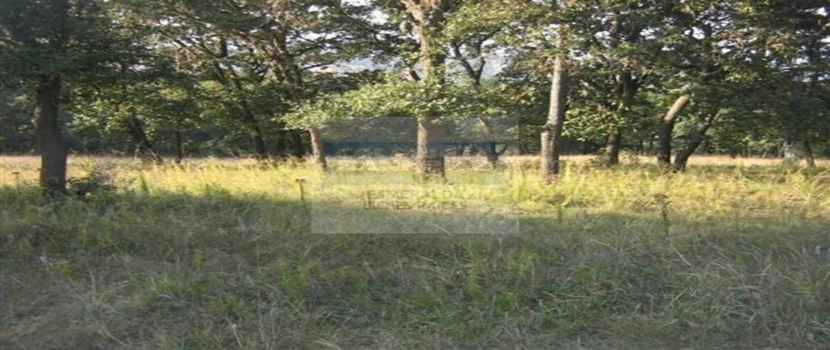 Foto de terreno habitacional en fraccionamiento 12 lote 12, fincas de sayavedra, atizapán de zaragoza, méxico, 3357468 foto 04 Foto de terreno habitacional en venta en fraccionamiento 12 lote 12, fincas de sayavedra, atizapán de zaragoza, méxico, 3357468 No. 04