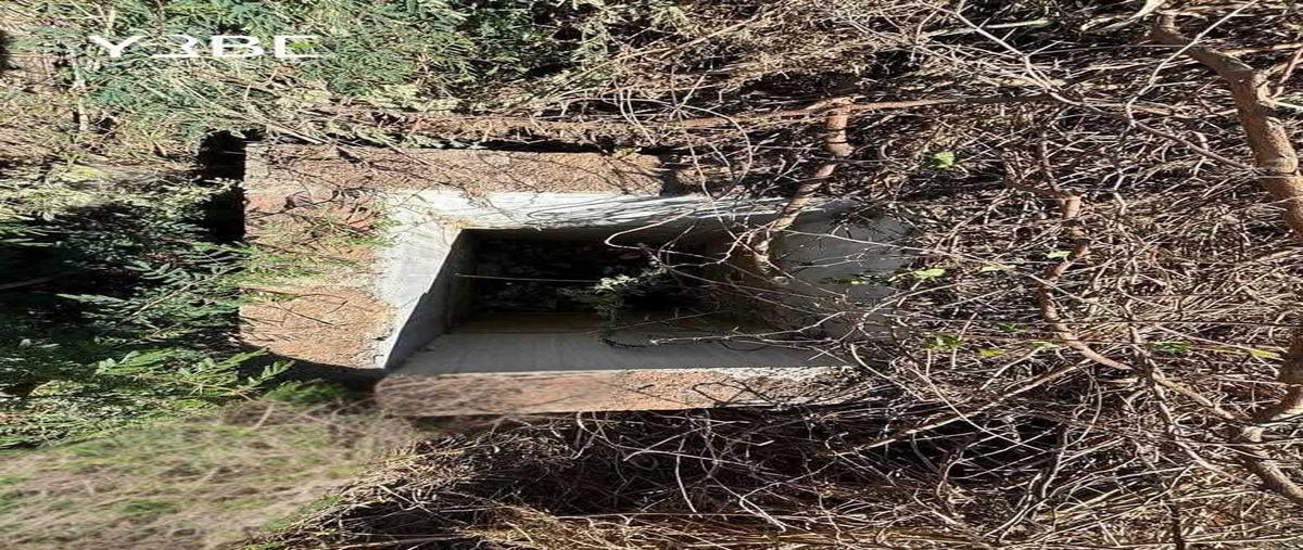 Foto de terreno habitacional en venta en fraccionamiento agave azul , bucerías centro, bahía de banderas, nayarit, 0 No. 03