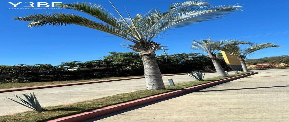 Foto de terreno habitacional en venta en fraccionamiento agave azul , bucerías centro, bahía de banderas, nayarit, 0 No. 05