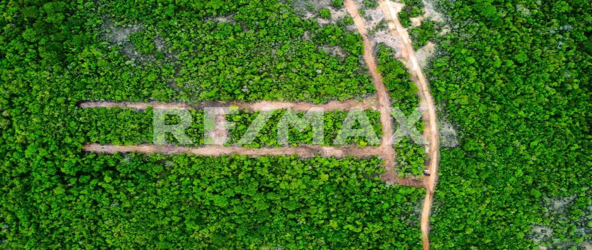 Foto de terreno habitacional en venta en fraccionamiento aves silvestres , puerto escondido (puerto escondido), san pedro mixtepec -dto. 22 -, oaxaca, 30061895 No. 03