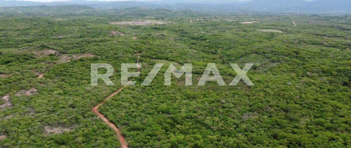 Foto de terreno habitacional en venta en fraccionamiento aves silvestres , puerto escondido (puerto escondido), san pedro mixtepec -dto. 22 -, oaxaca, 30061895 No. 04