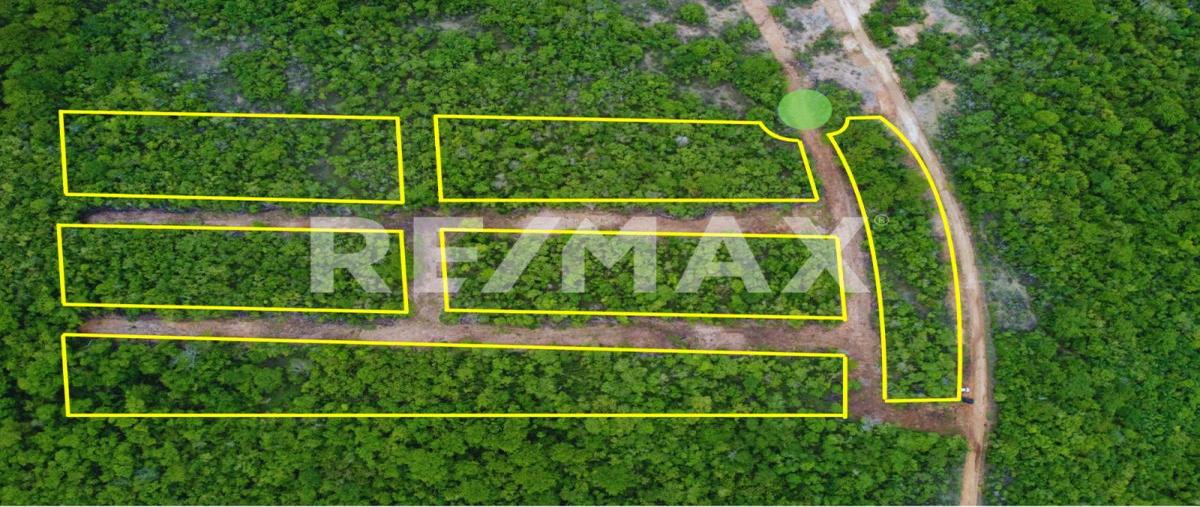 Foto de terreno habitacional en venta en fraccionamiento aves silvestres , puerto escondido (puerto escondido), san pedro mixtepec -dto. 22 -, oaxaca, 30061895 No. 05