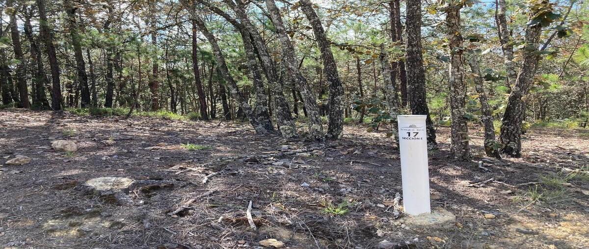 Foto de terreno habitacional en fraccionamiento bosque real , bosque real, huasca de ocampo, hidalgo, 0 foto 03 Foto de terreno habitacional en venta en fraccionamiento bosque real , bosque real, huasca de ocampo, hidalgo, 0 No. 03