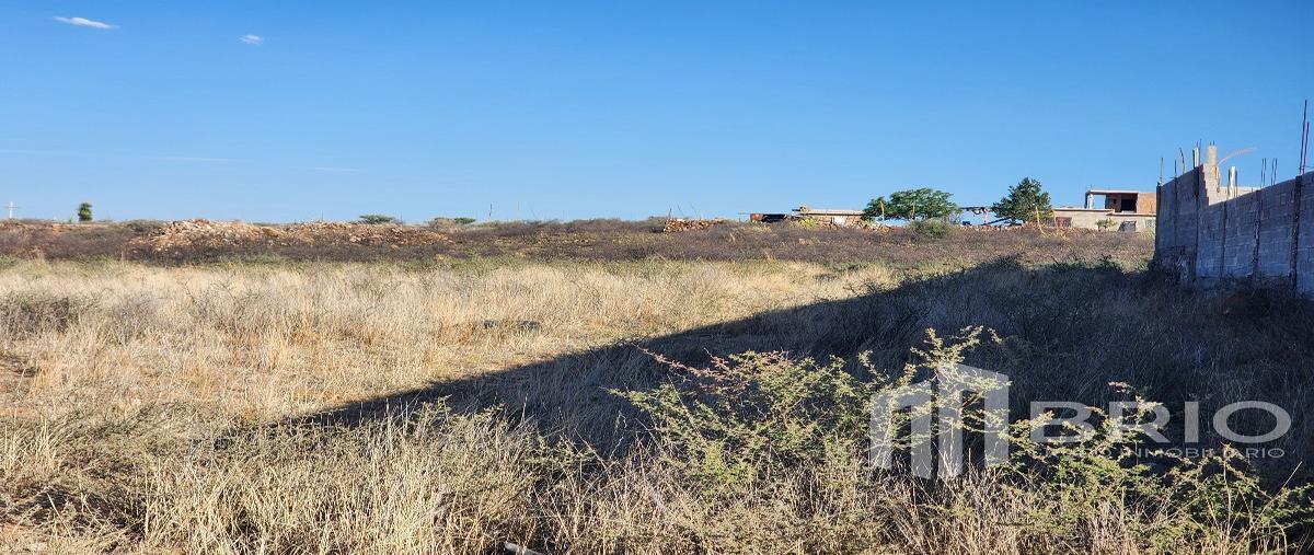 Foto de terreno habitacional en venta en  , fraccionamiento campestre las granjas uno, durango, durango, 28114211 No. 03