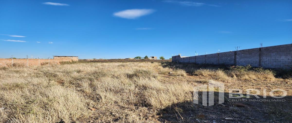 Foto de terreno habitacional en venta en  , fraccionamiento campestre las granjas uno, durango, durango, 28114211 No. 04