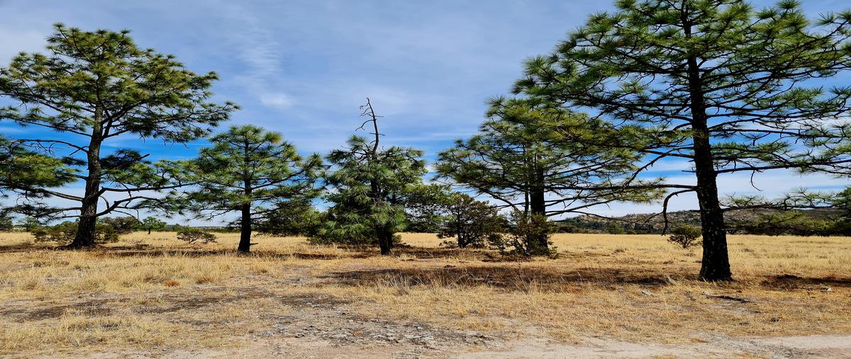 Foto de terreno habitacional en fraccionamiento campestre sierra linda lote 70 , victoria de durango, durango, durango, 29457479 foto 01 Foto de terreno habitacional en venta en fraccionamiento campestre sierra linda lote 70 , victoria de durango, durango, durango, 29457479 No. 01
