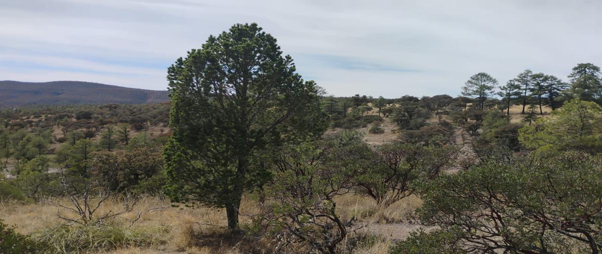 Foto de terreno habitacional en fraccionamiento campestre sierra linda lote 70 , victoria de durango, durango, durango, 29457479 foto 17 Foto de terreno habitacional en venta en fraccionamiento campestre sierra linda lote 70 , victoria de durango, durango, durango, 29457479 No. 17