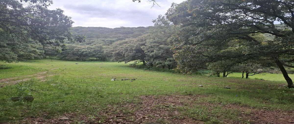 Foto de terreno habitacional en fraccionamiento campestre , villa del carbón, villa del carbón, méxico, 29457194 foto 03 Foto de terreno habitacional en venta en fraccionamiento campestre , villa del carbón, villa del carbón, méxico, 29457194 No. 03