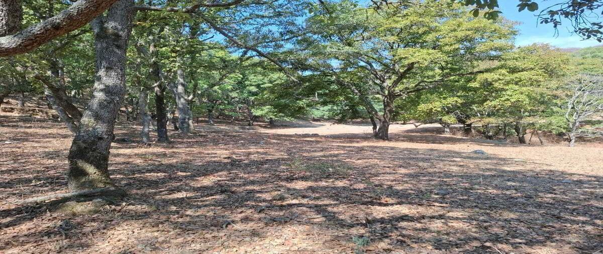 Foto de terreno habitacional en fraccionamiento campestre , villa del carbón, villa del carbón, méxico, 29727451 foto 03 Foto de terreno habitacional en venta en fraccionamiento campestre , villa del carbón, villa del carbón, méxico, 29727451 No. 03